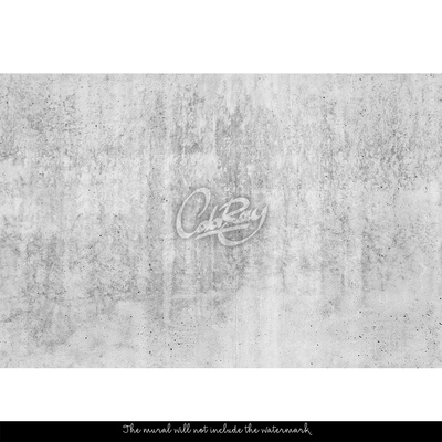 Papier peint panoramique Mur élégant
