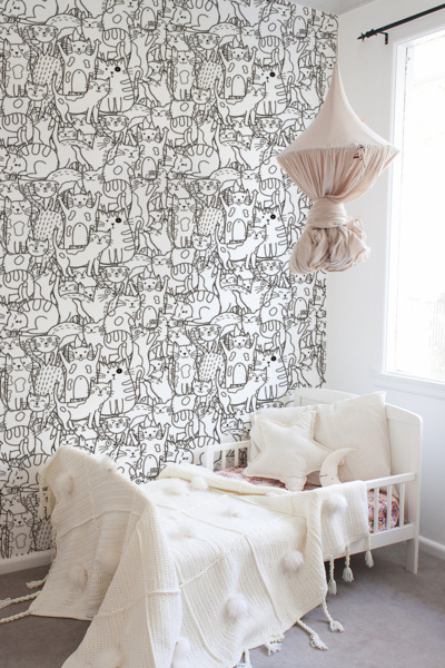 Papier peint adhésif Le pays des chats