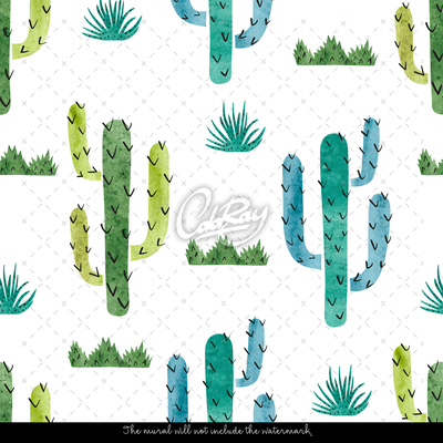 Papier peint Ferme de cactus