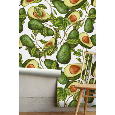 Papier peint Avocat tentant