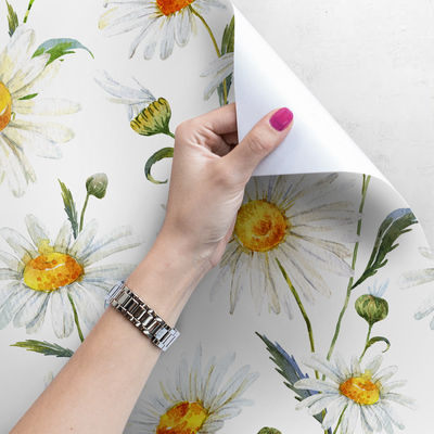 Papier peint Prairie de camomille