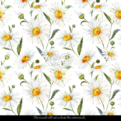 Papier peint Prairie de camomille