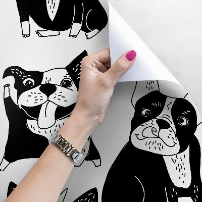 Papier peint adhésif Chiens drôles