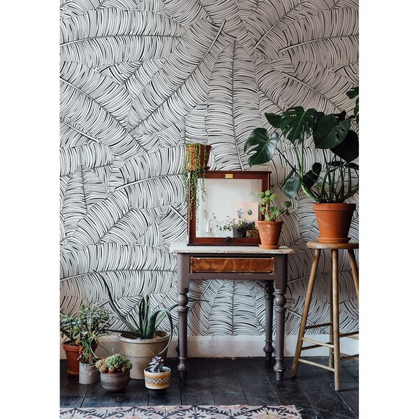 Papier peint adhésif Promenade dans la jungle