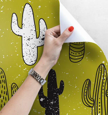 Papier peint Cactus mexicain