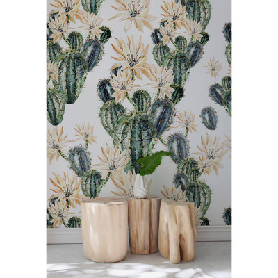 Papier peint Il n'y a jamais assez de cactus