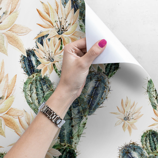 Papier peint Il n'y a jamais assez de cactus
