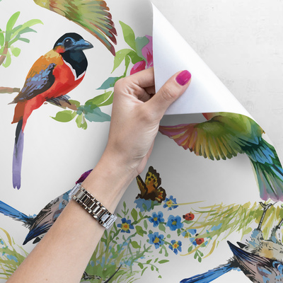 Papier peint adhésif Tropiques arc-en-ciel remplis d'oiseaux