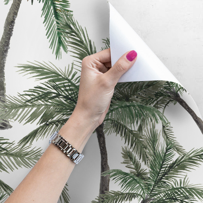 Papier peint Notre palmier est tombé