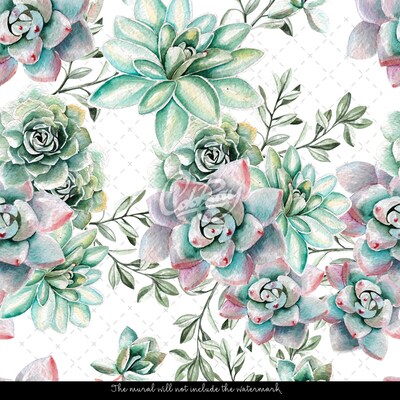 Papier peint adhésif Fabuleuses plantes succulentes