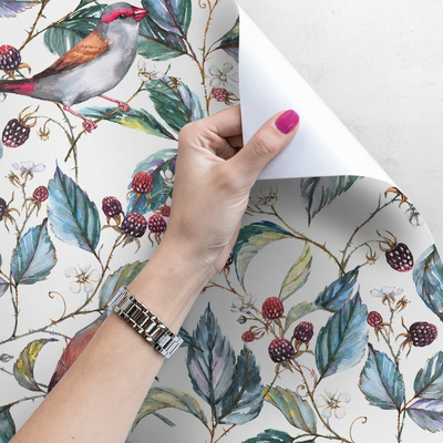 Papier peint Chants d'oiseaux dans les mûres