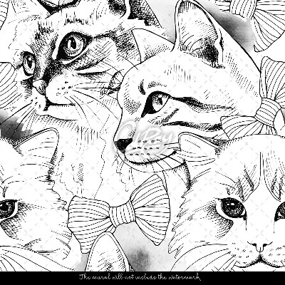 Papier peint Chats élégants