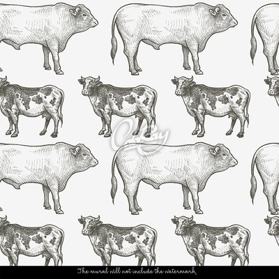 Papier peint adhésif Vache en bonne santé, taureau en bonne santé