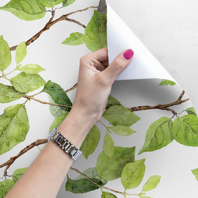 Papier peint Feuilles de printemps dans le vent