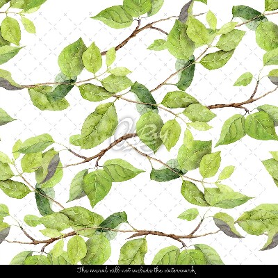 Papier peint Feuilles de printemps dans le vent