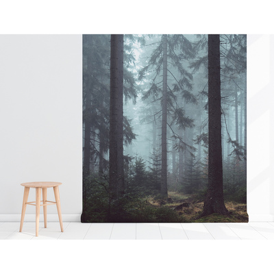 Papier peint adhésif Quand le brouillard arrive