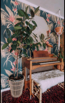 Papier peint Paradis de Sumatra