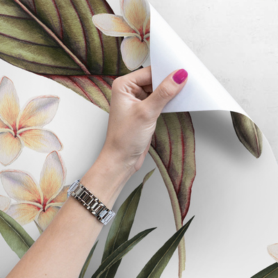 Papier peint Au milieu de la brousse tropicale