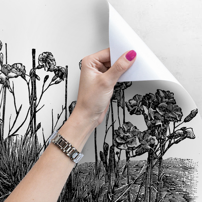 Papier peint Œillets sauvages des champs