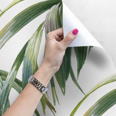 Papier peint panoramique Feuilles colorées