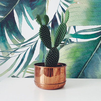 Papier peint adhésif Accessoires tropicaux élégants