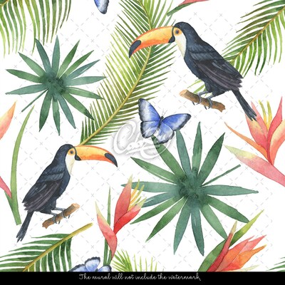 Papier peint adhésif Dans le monde paradisiaque des toucans