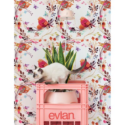 Papier peint Brindilles romantiques