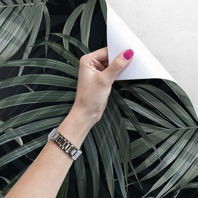 Papier peint adhésif La vraie beauté du Monstera