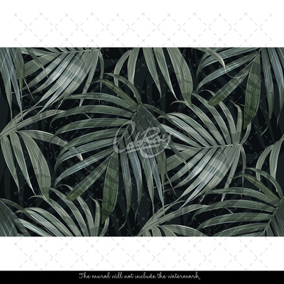 Papier peint adhésif La vraie beauté du Monstera