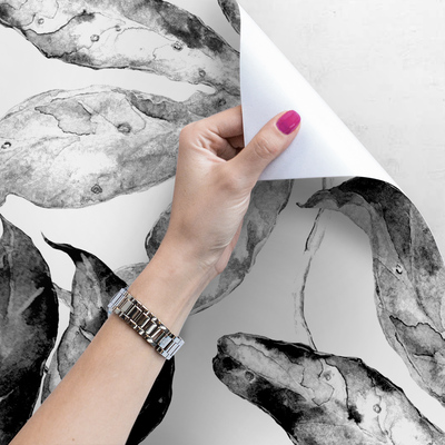 Papier peint adhésif Feuilles en noir et blanc