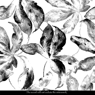 Papier peint adhésif Feuilles en noir et blanc