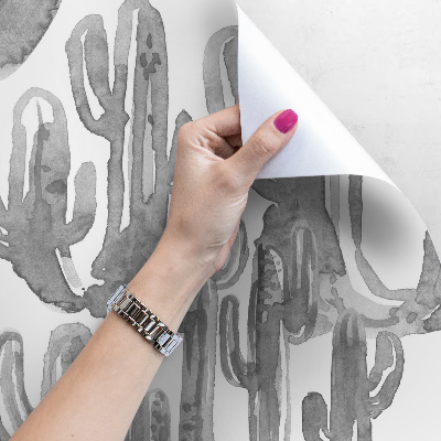 Papier peint Ombres grises des cactus