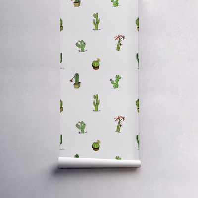 Papier peint Cactus en pots