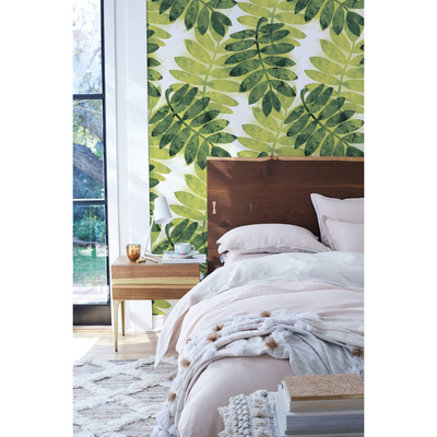 Papier peint adhésif Détendez-vous à l'ombre des feuilles d'acacia