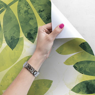 Papier peint adhésif Détendez-vous à l'ombre des feuilles d'acacia