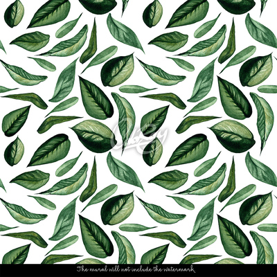 Papier peint adhésif Proche de la nature