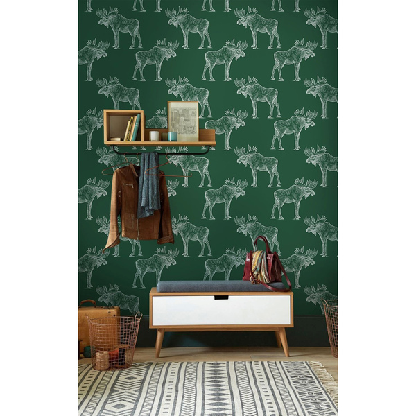 Papier peint panoramique Apparemment, quelqu'un a vu un jour un élan monter sur un vélo.