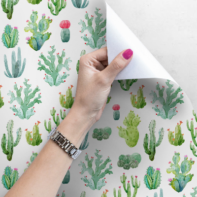 Papier peint Petits cactus sur fond blanc