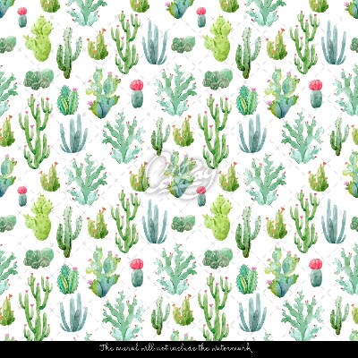 Papier peint Petits cactus sur fond blanc