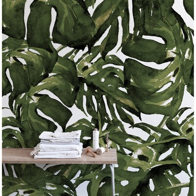 Papier peint adhésif Monstera peint avec de la peinture
