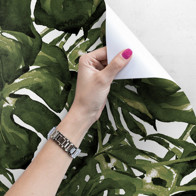 Papier peint adhésif Monstera peint avec de la peinture