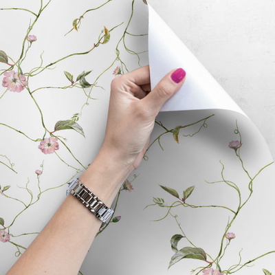 Papier peint Vignes subtiles