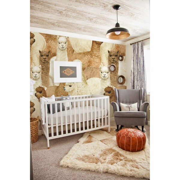 Papier peint adhésif Une journée avec les alpagas