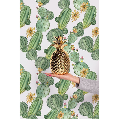 Papier peint adhésif Quelque part au Mexique près du Cactus