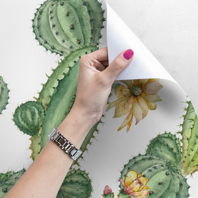 Papier peint adhésif Quelque part au Mexique près du Cactus