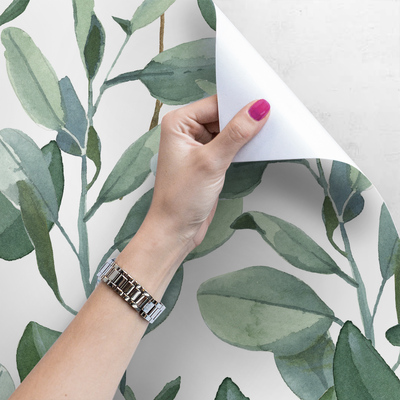 Papier peint adhésif Le pouvoir de guérison de l'eucalyptus