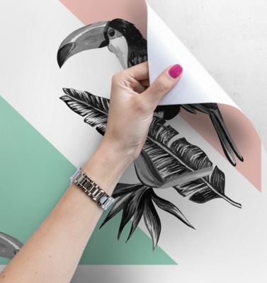 Papier peint adhésif Toucans