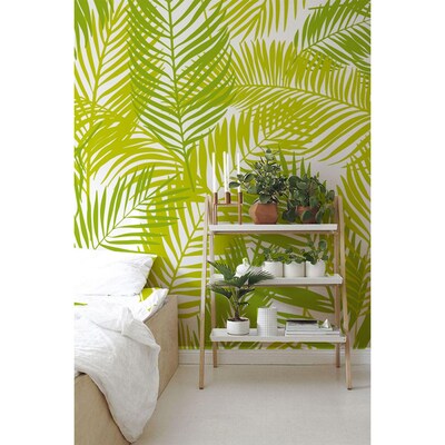 Papier peint Feuilles de palmier céladon