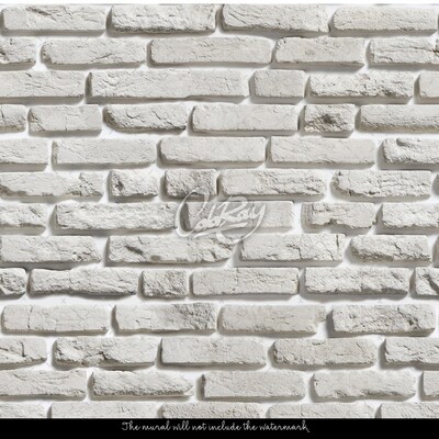 Papier peint Mur en gris