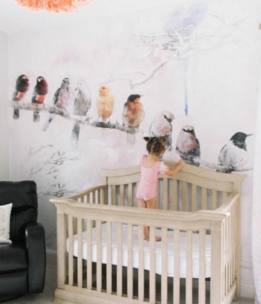 Papier peint adhésif Discussions sur les oiseaux